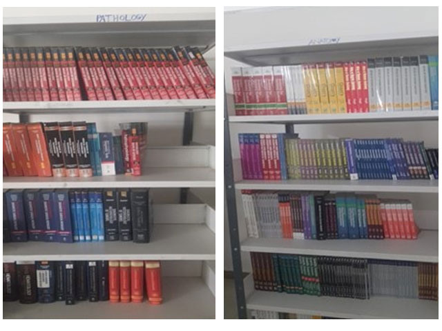 library 1