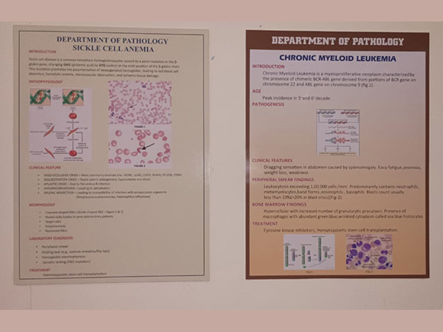 physiology 5